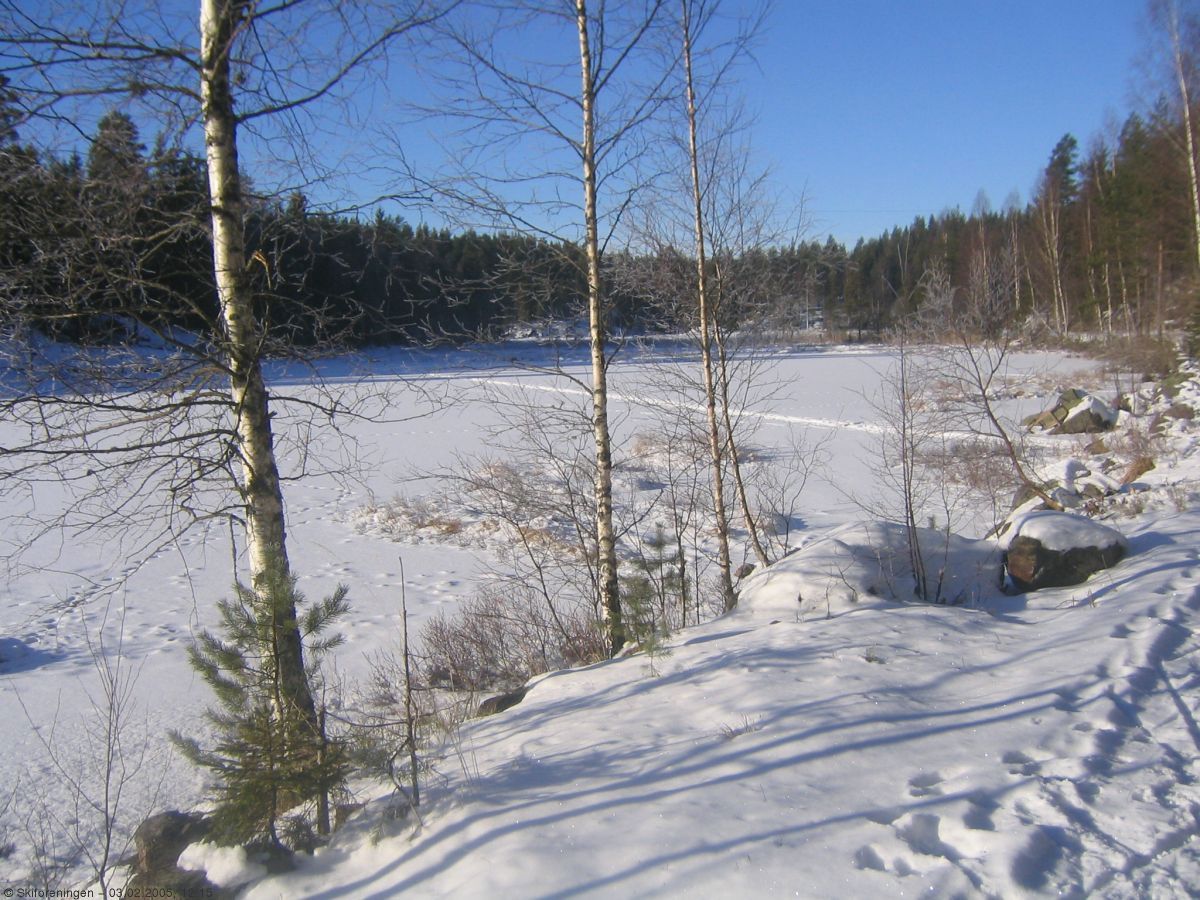 Fra veien langs Skjelbreiavann