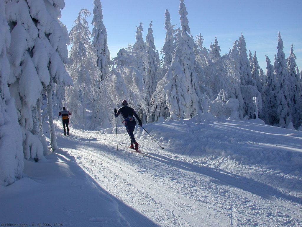 Fra Vestergyllenløypa