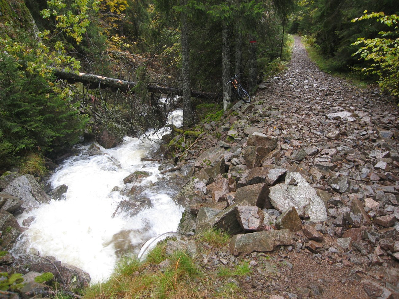 Frådende i Skådalen