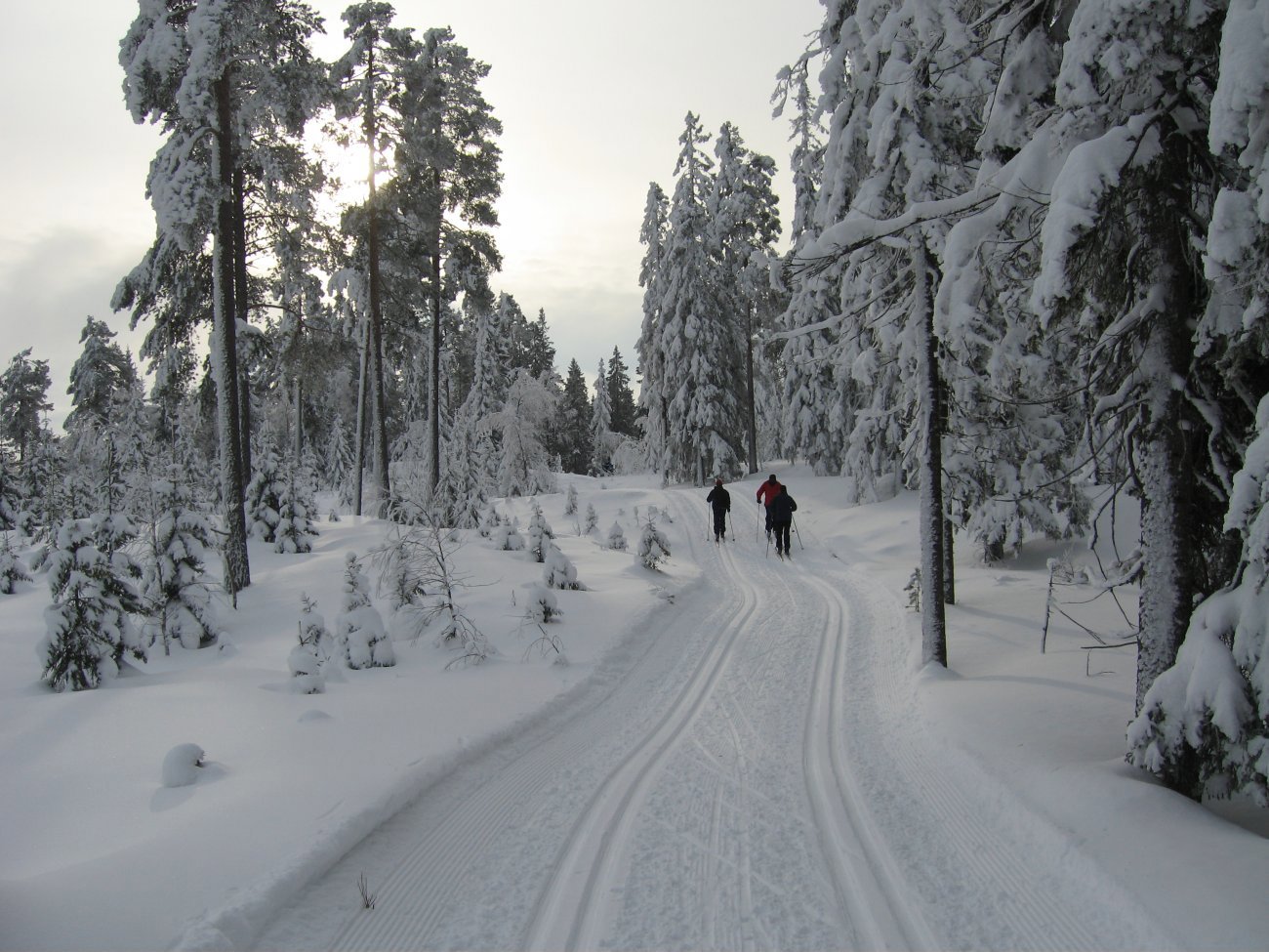 Fred og ro i Lillomarka
