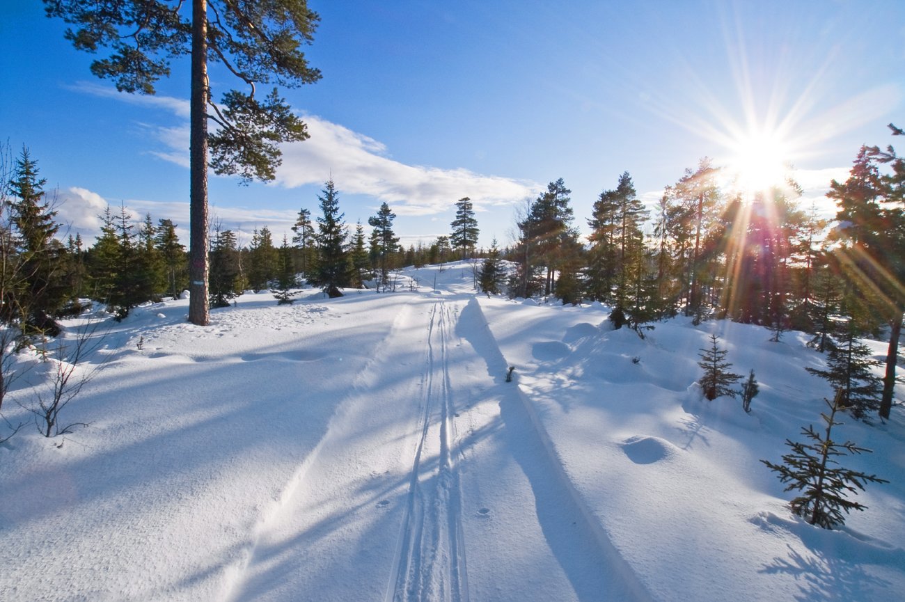 Fredagskveld ved Ingjerdsbrenna