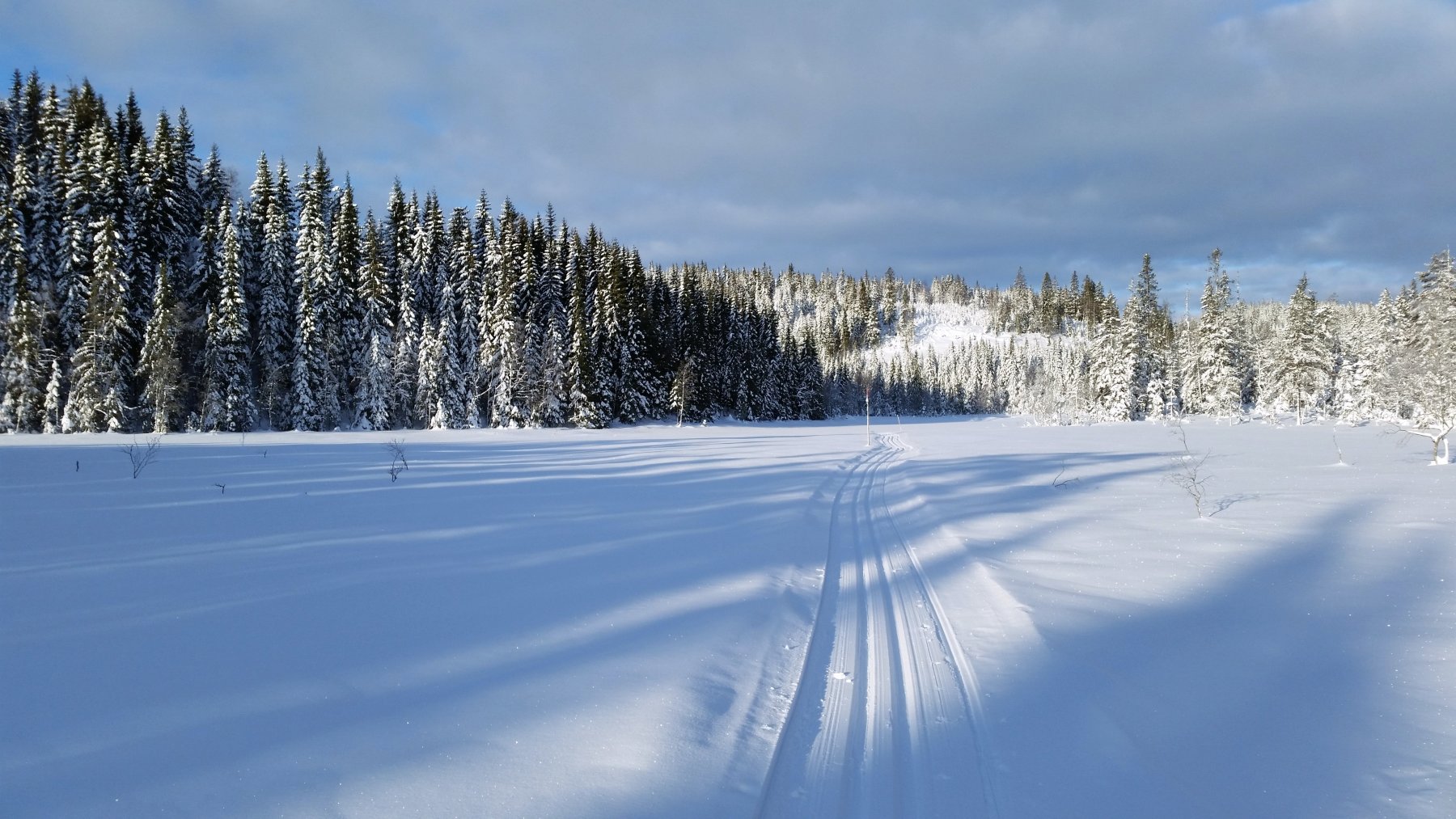 Fredelig i sporet ved Sakristjern