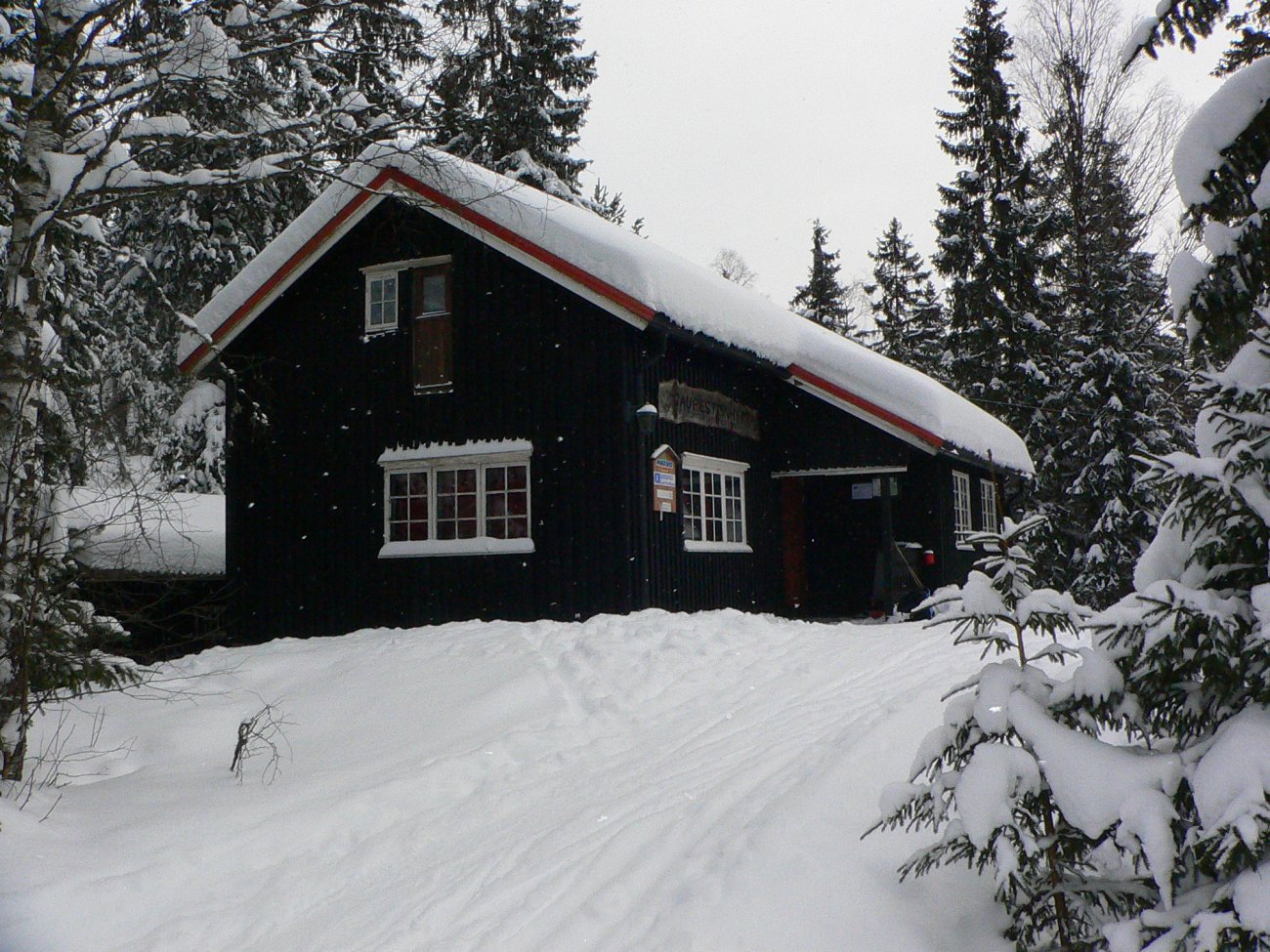 Fredelig ved Gaupesteinhytta