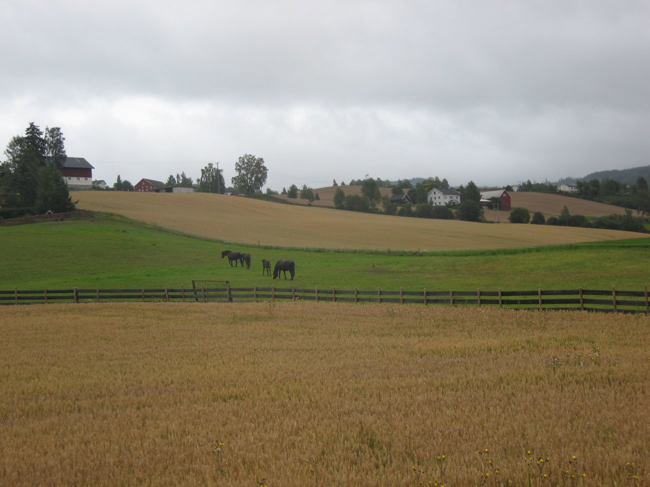 Fredfullt rett ved RV4