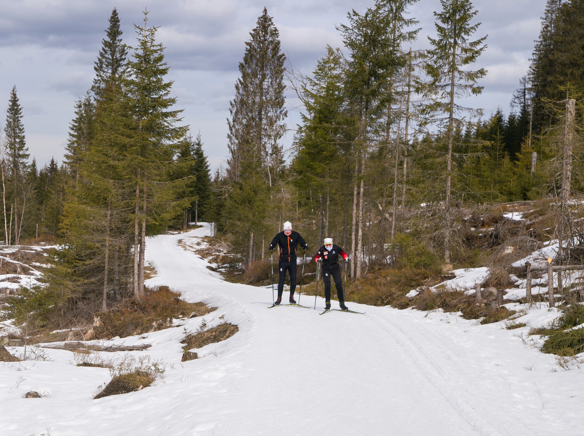 Fremdeles greit til Myggheim