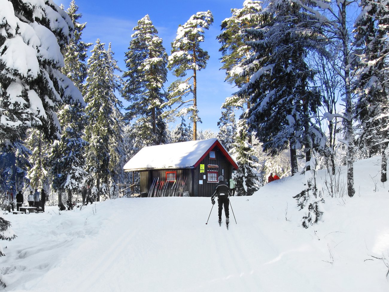 Fremme ved Ringdalshytta