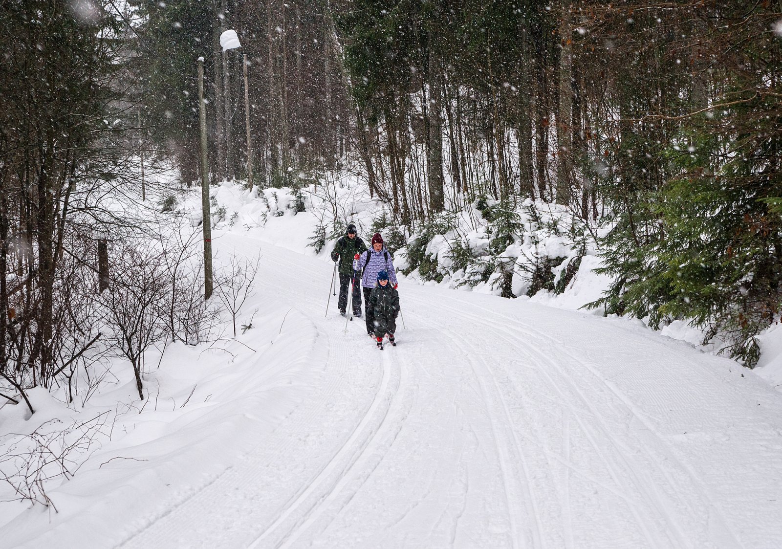 Fremover i sneværet