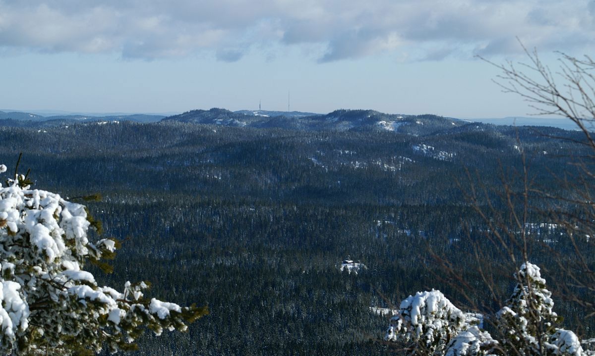 Fri sikt til Tryvannstårnet fra Gyrihaugen