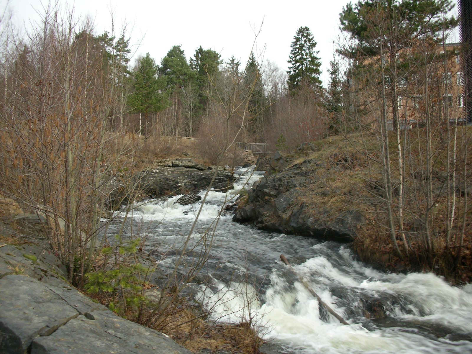 Frisk vannføring i Sognsvannsbekken