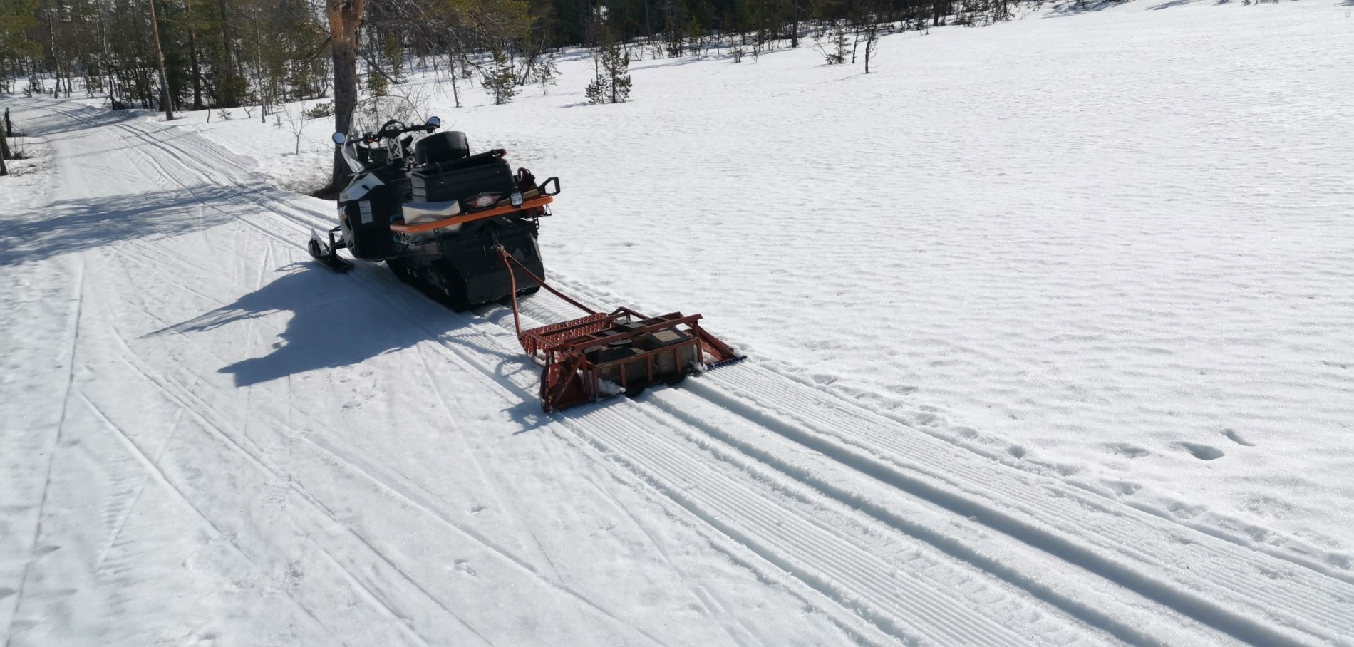 Friske spor ved Kjøyvemyra