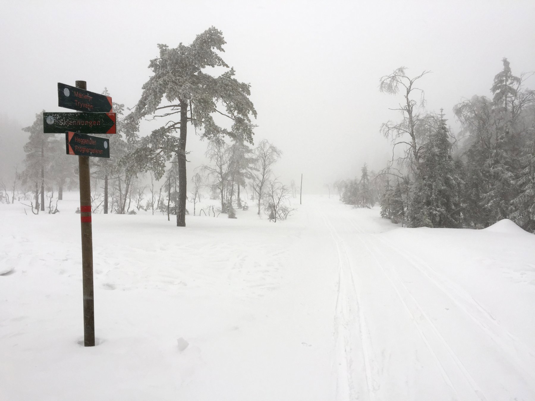 Friskt over Frønsvollmyrene