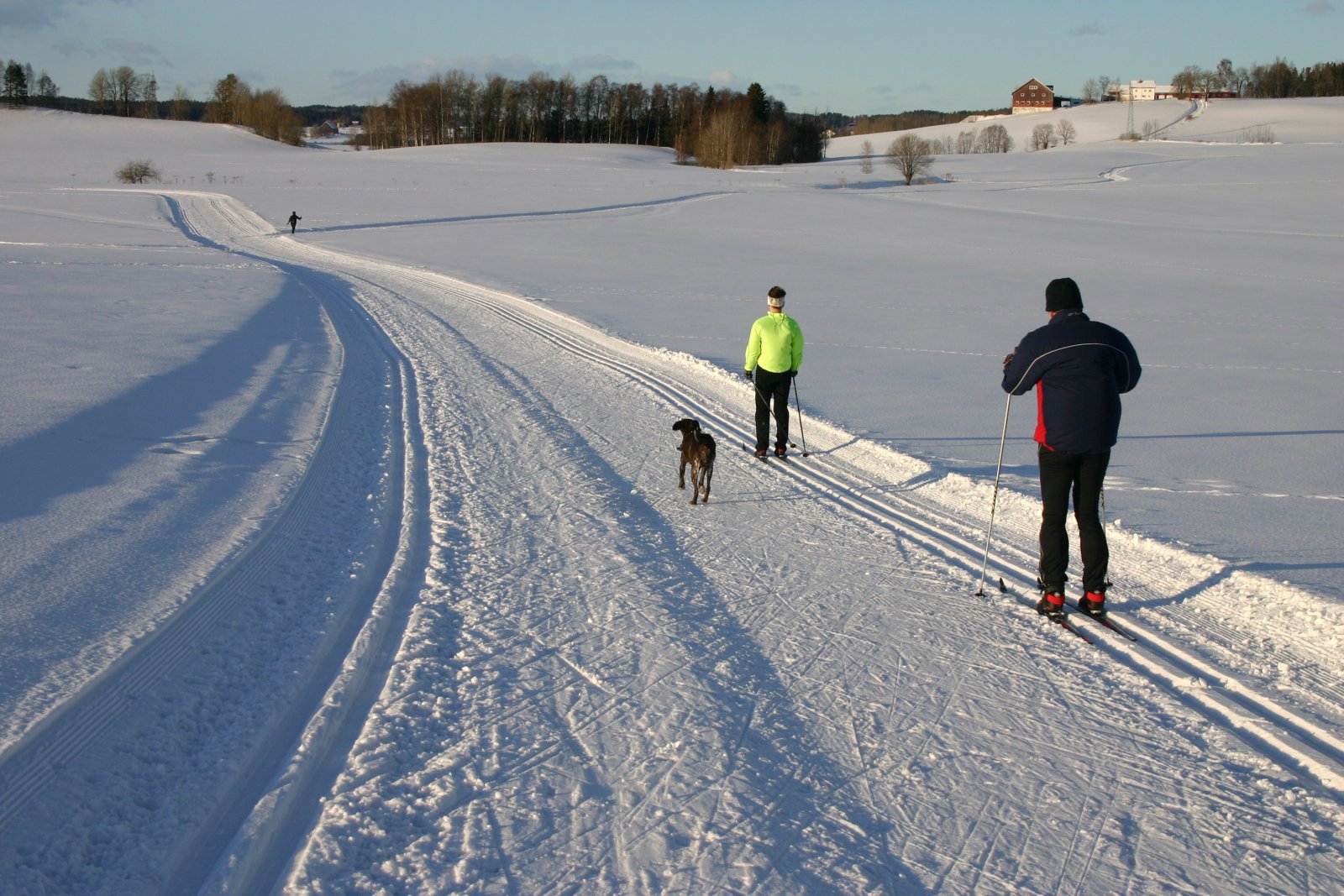 Fristende på Rustadjordet