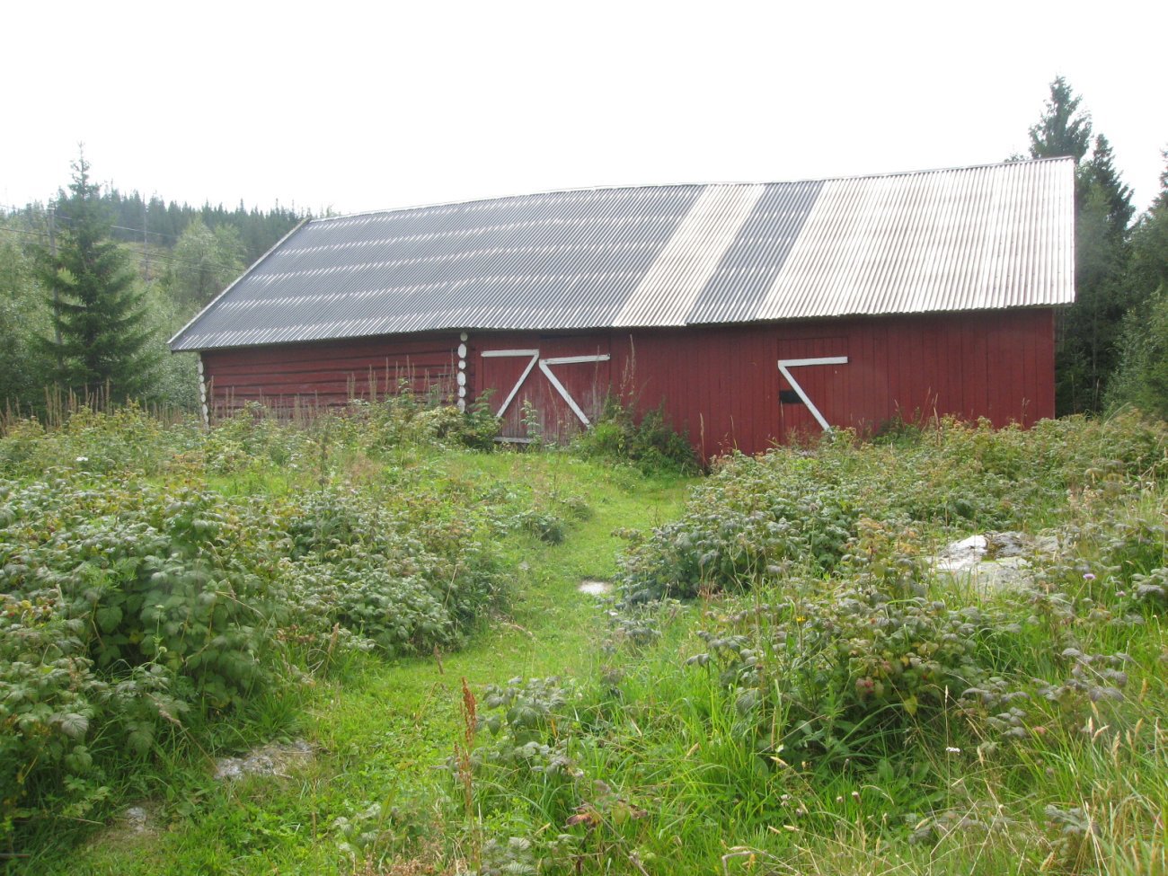 Frodig på Høgkorsplassen
