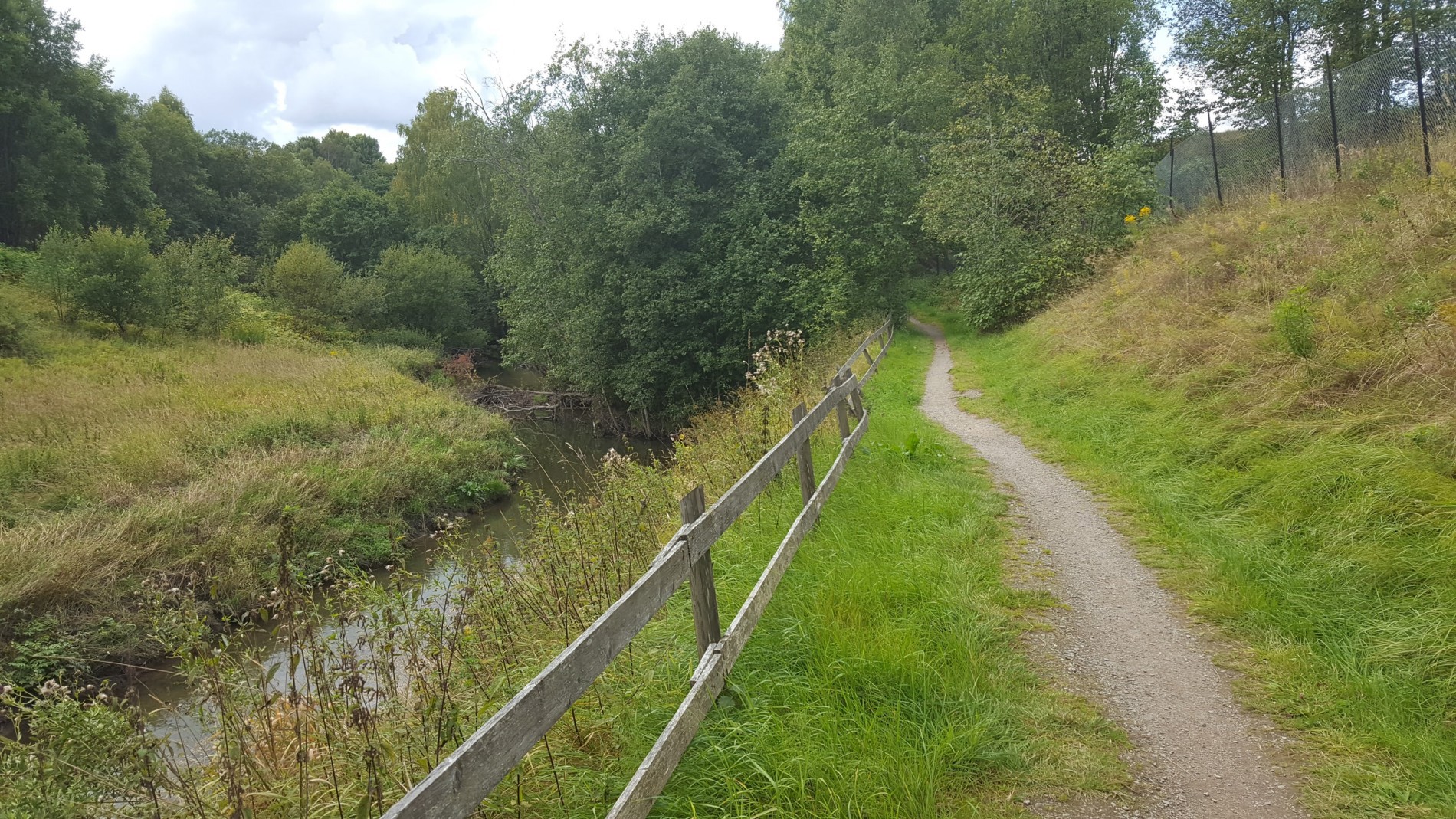 Frodig på turvei D10 langs Alna