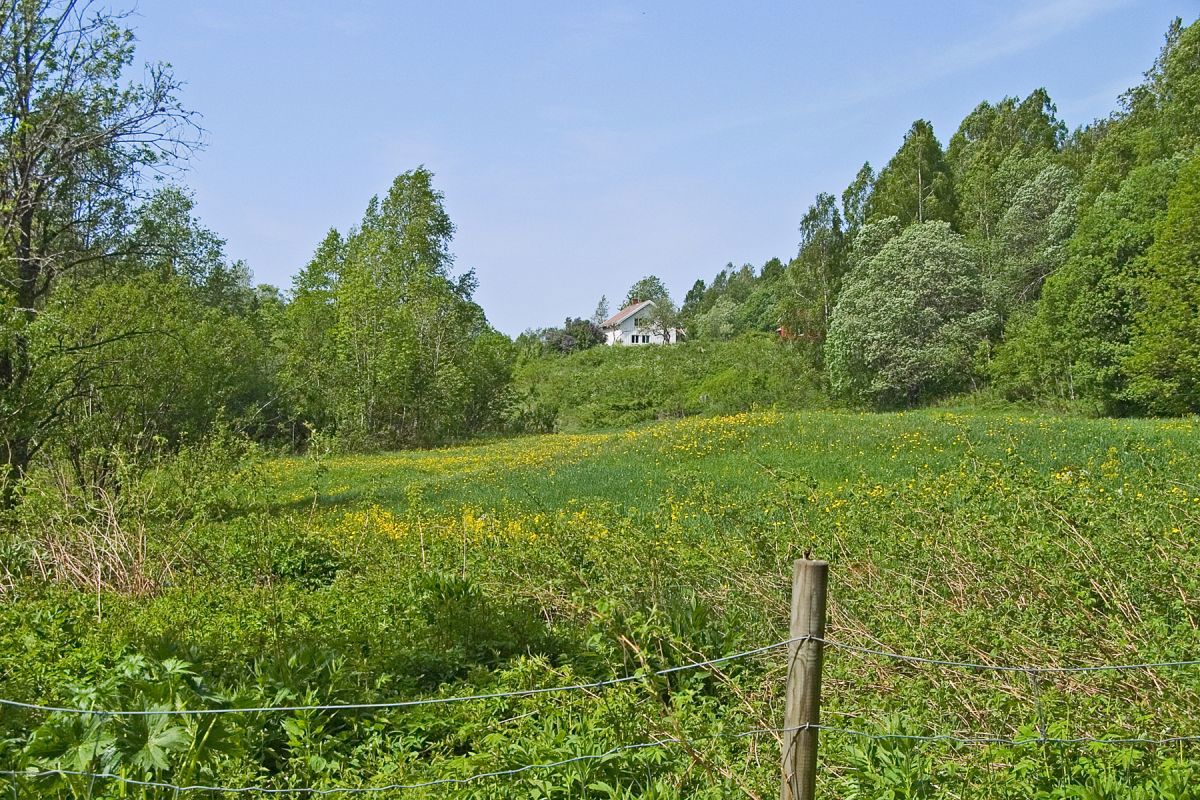 Frodig ved Kjaglienga