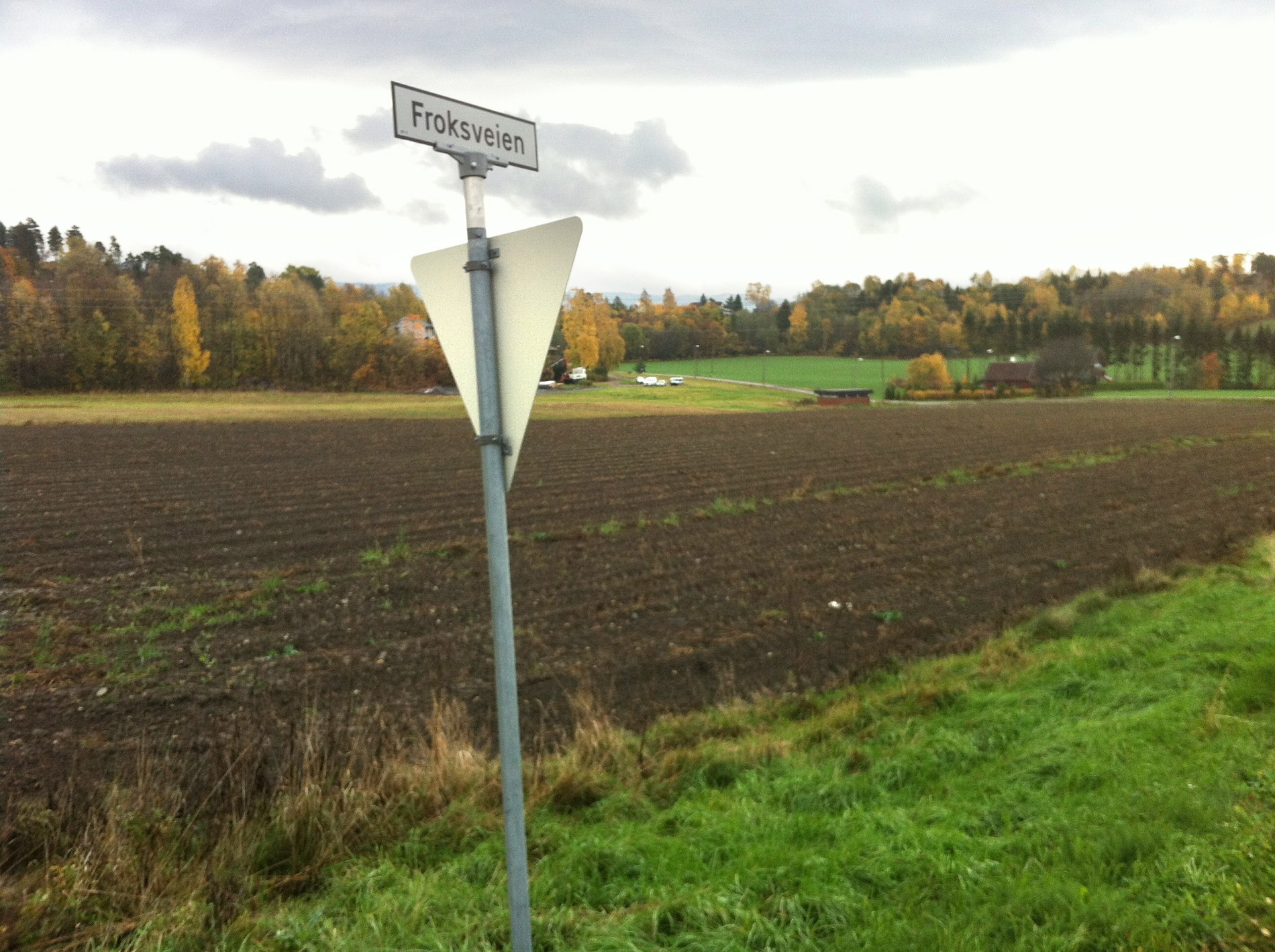 Froksveien sett sydover