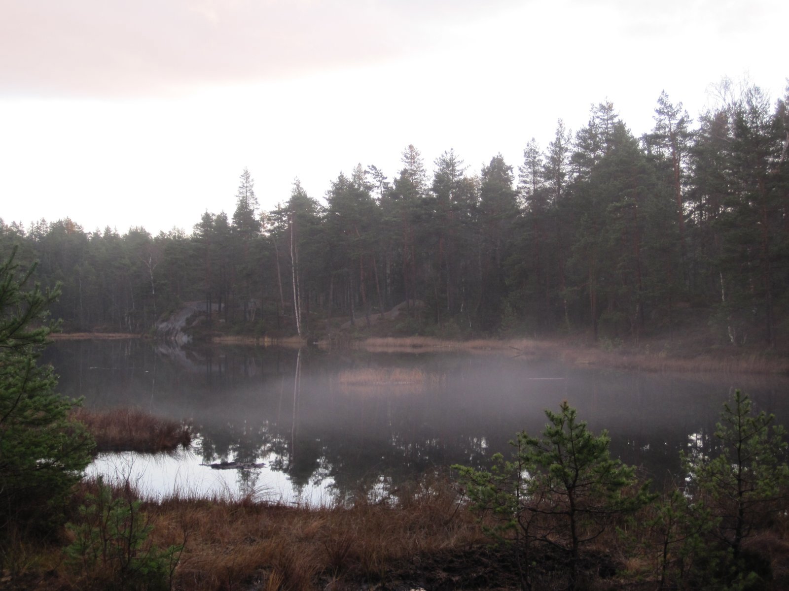 Fuktig kveld i Østmarka