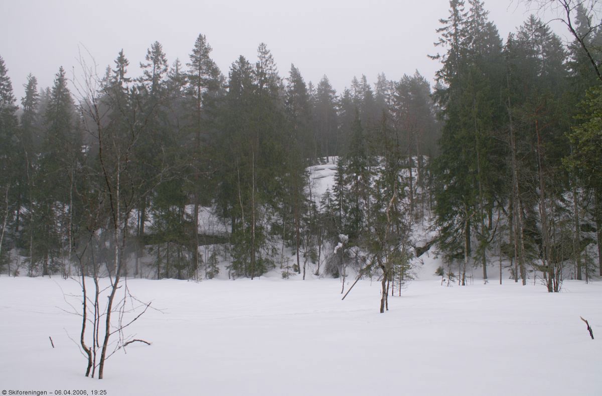 Fuktig kveld ved myrområdet i Lutåsen