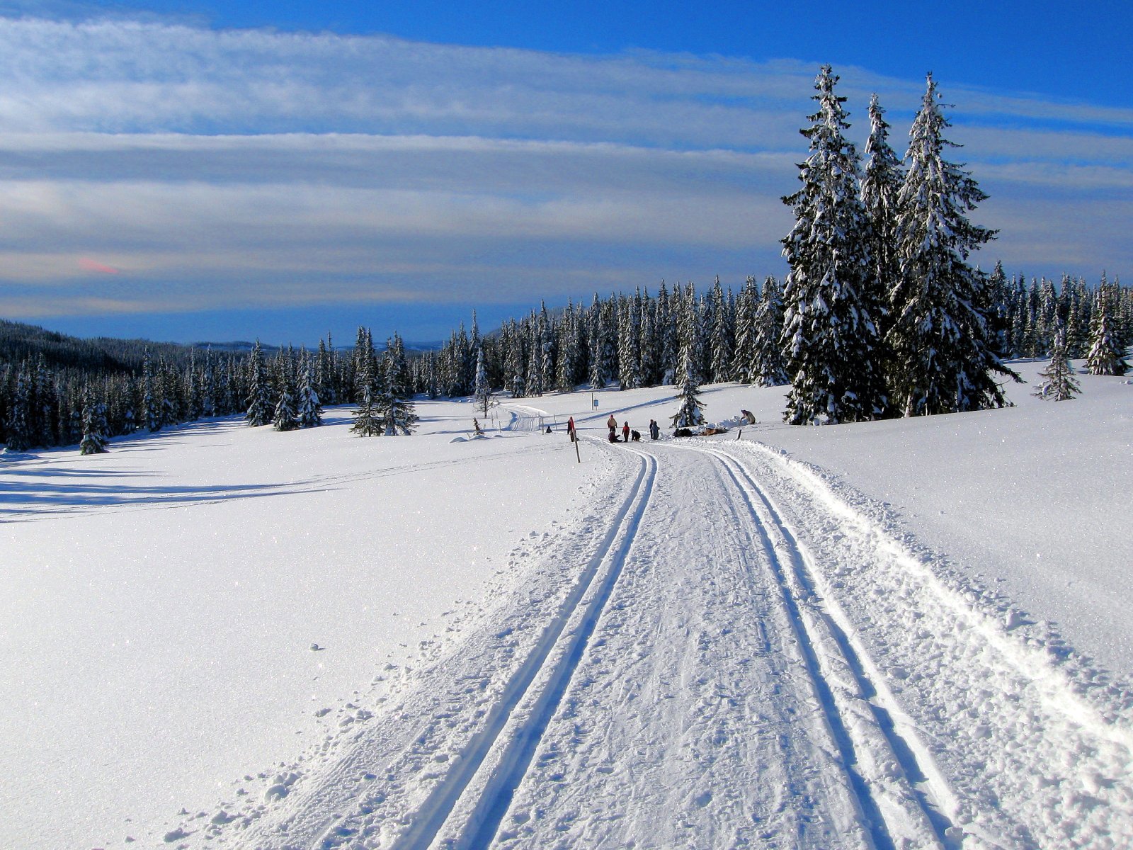 Full aktivitet på Sveravollen