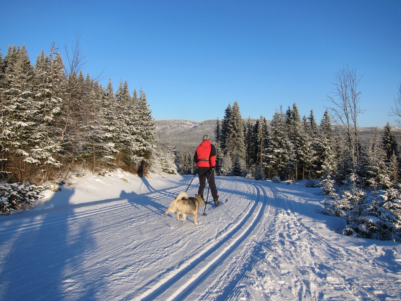 Full fart mot Torsætra