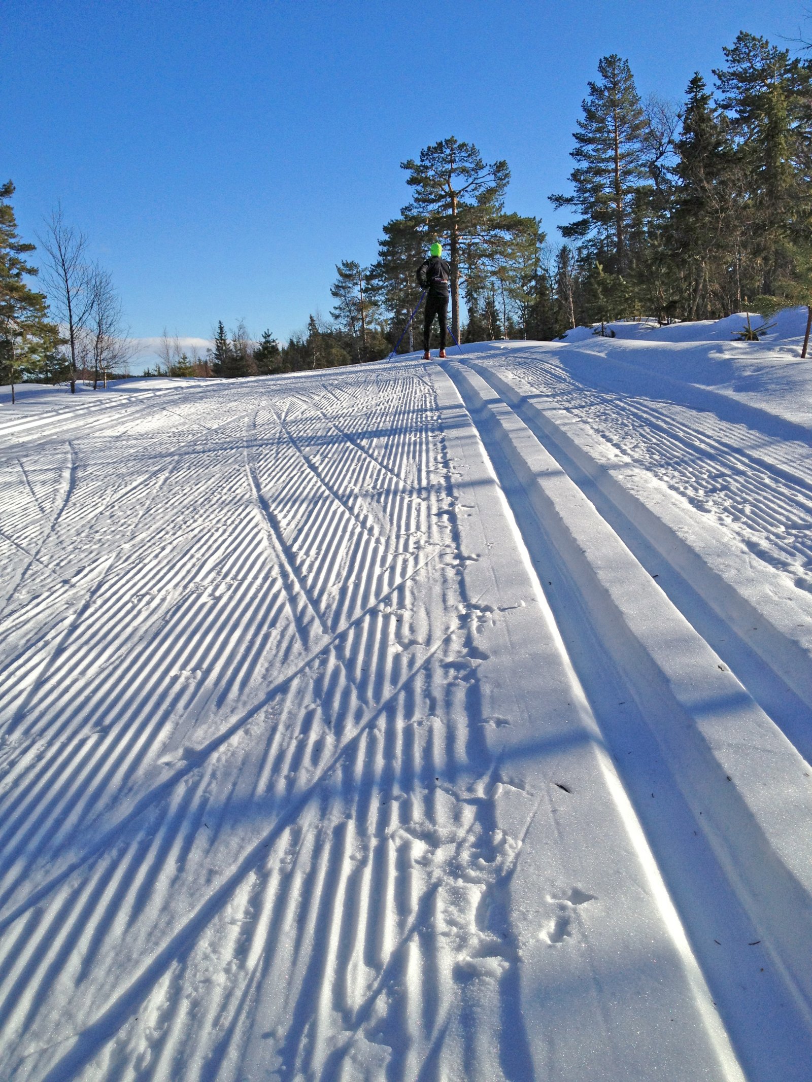Full fart over Høgmåsan