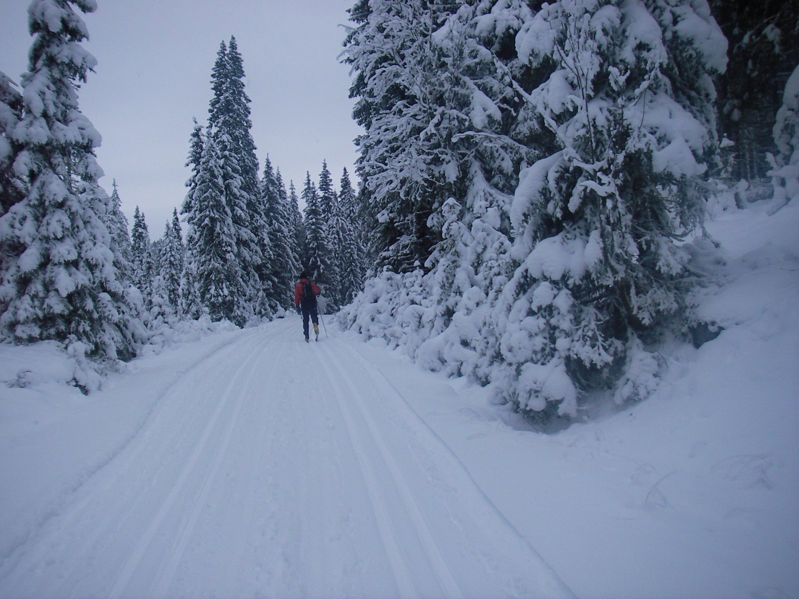 Full vinter i Nordmarka Nord!