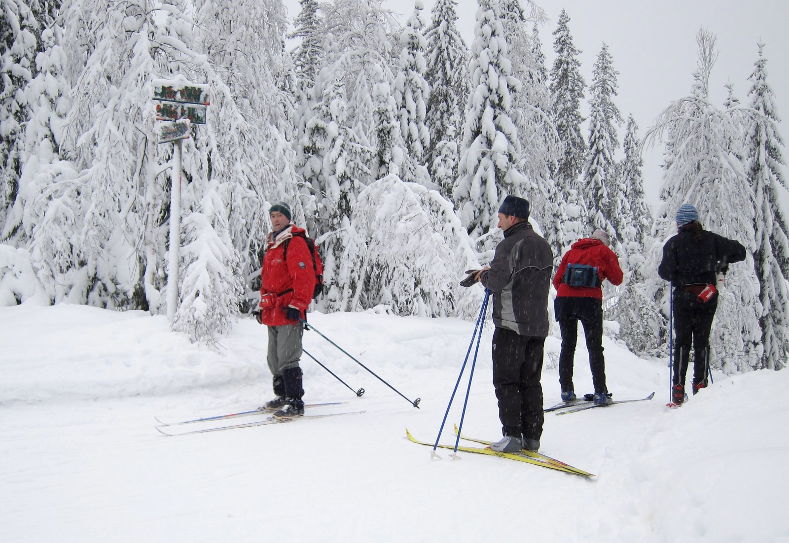 Full vinter ved Auretjernsbekken