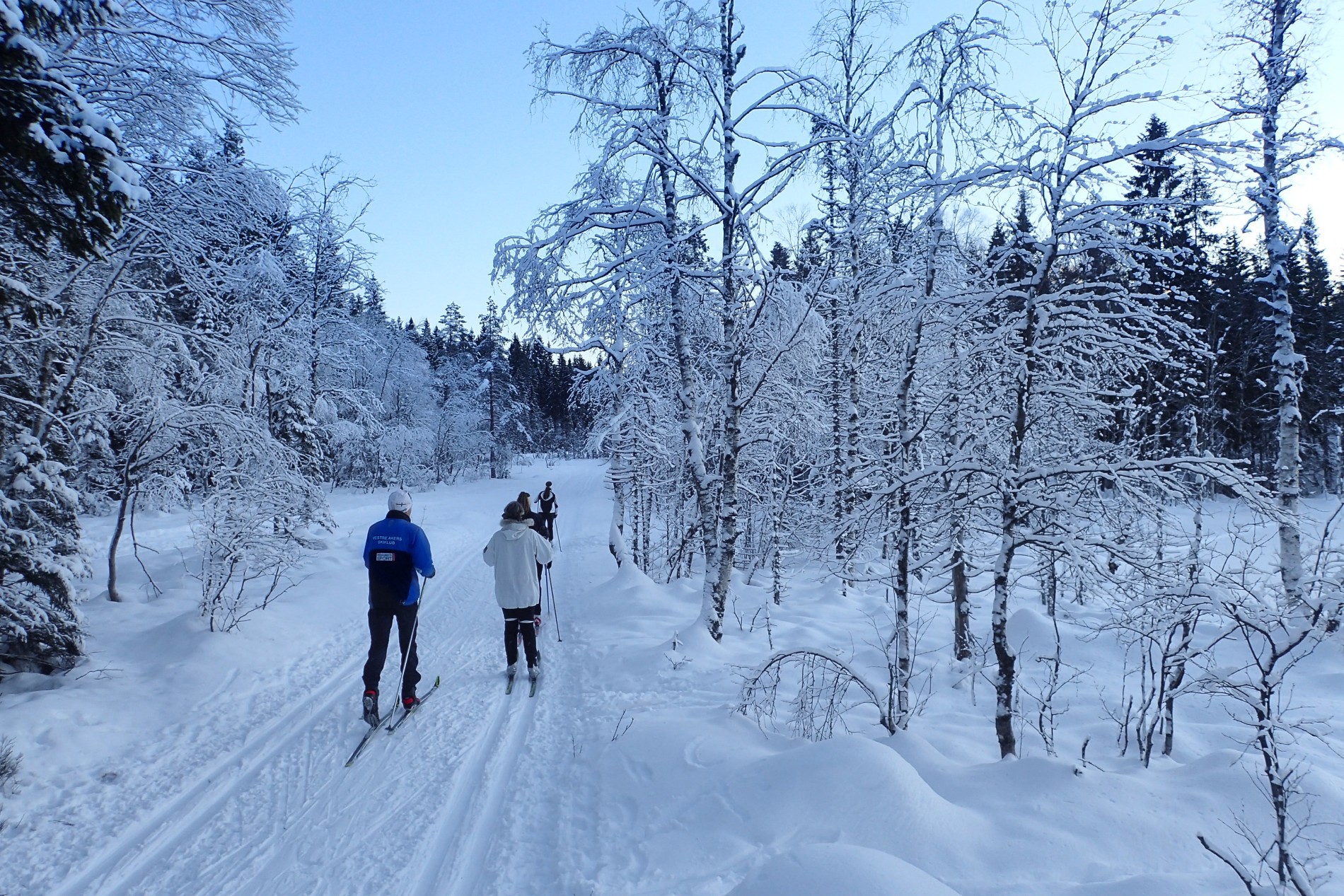 Full vinter ved Lortkulp