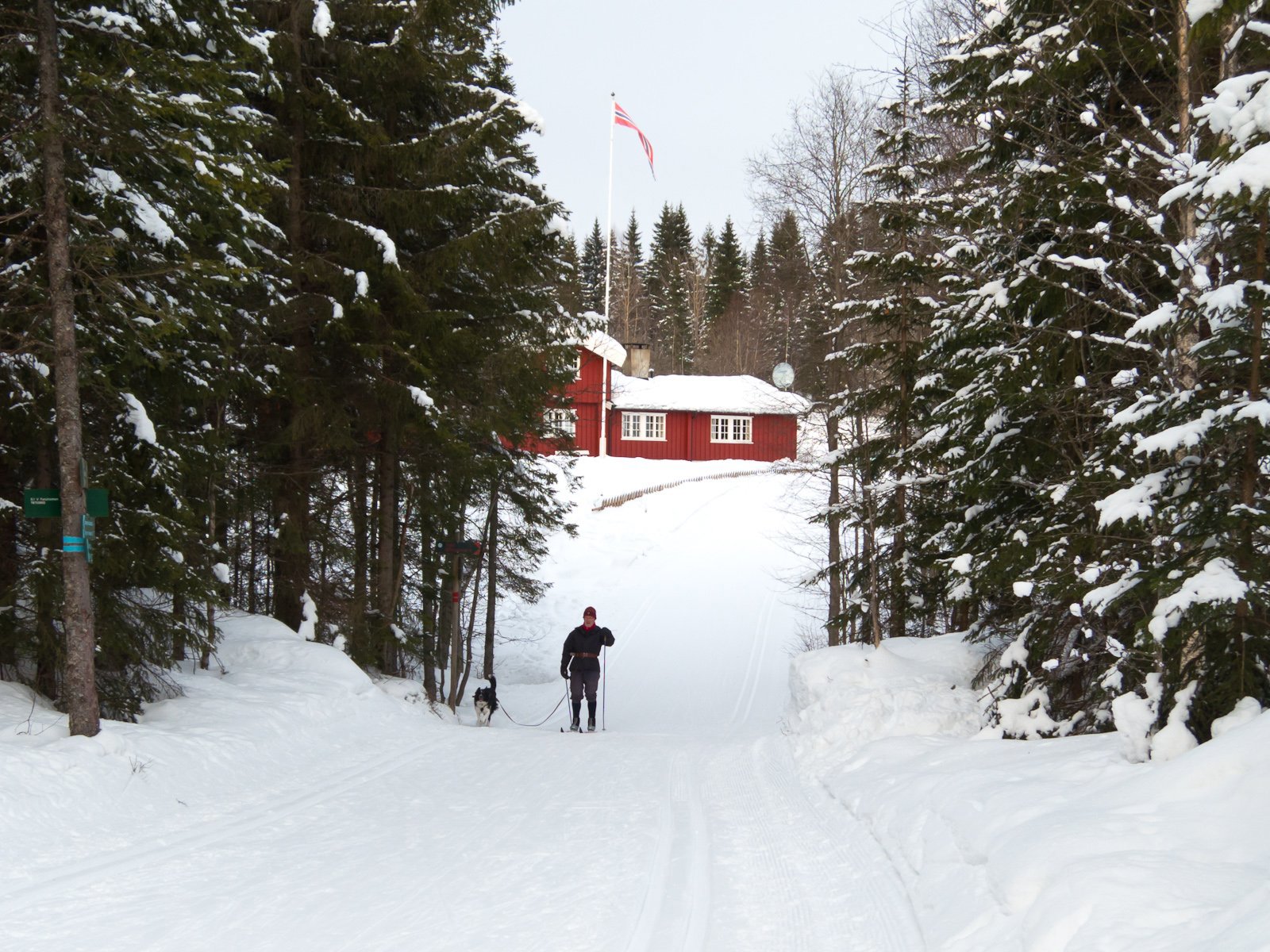 Furuholmen i februar
