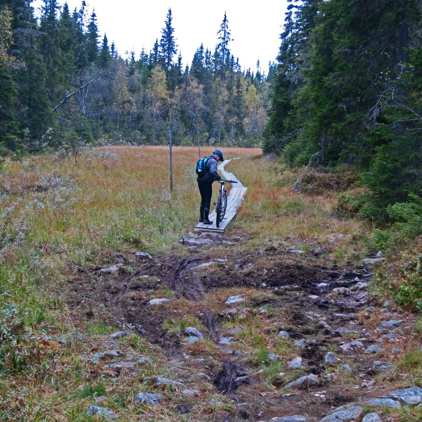 Gå planken i Bjønnputtdalen