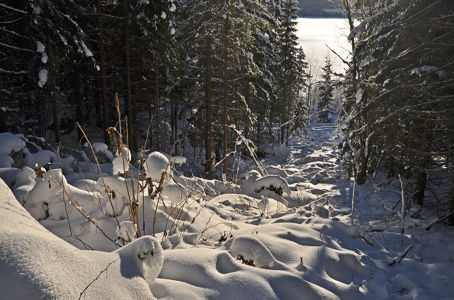 Gamle Åbortjernløypa?
