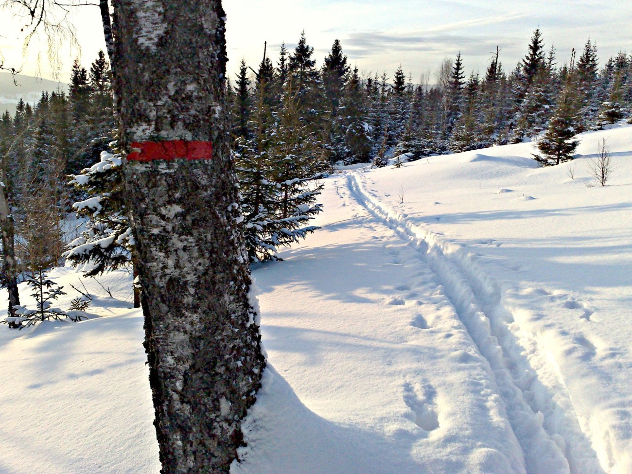 Gamle merker ruster ikke