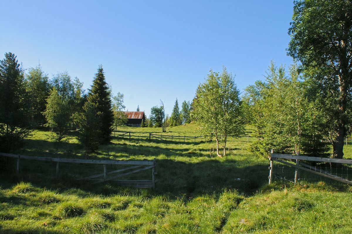 Gamle voller på Holoaseter