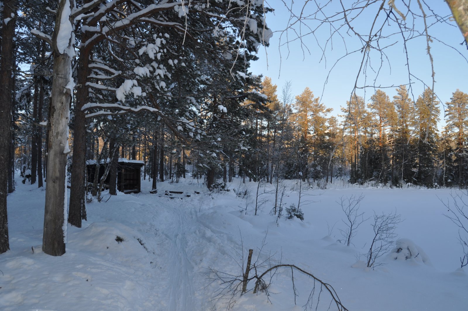 Gapahuk ved Klopptjenet