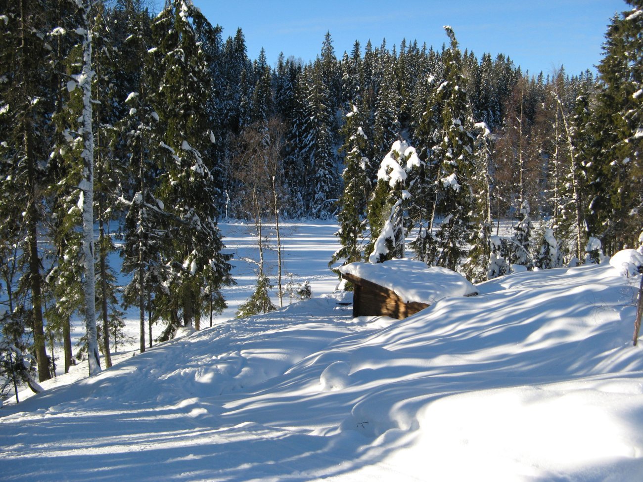 Gapahuken ved Bikkjetjern i Fudalen