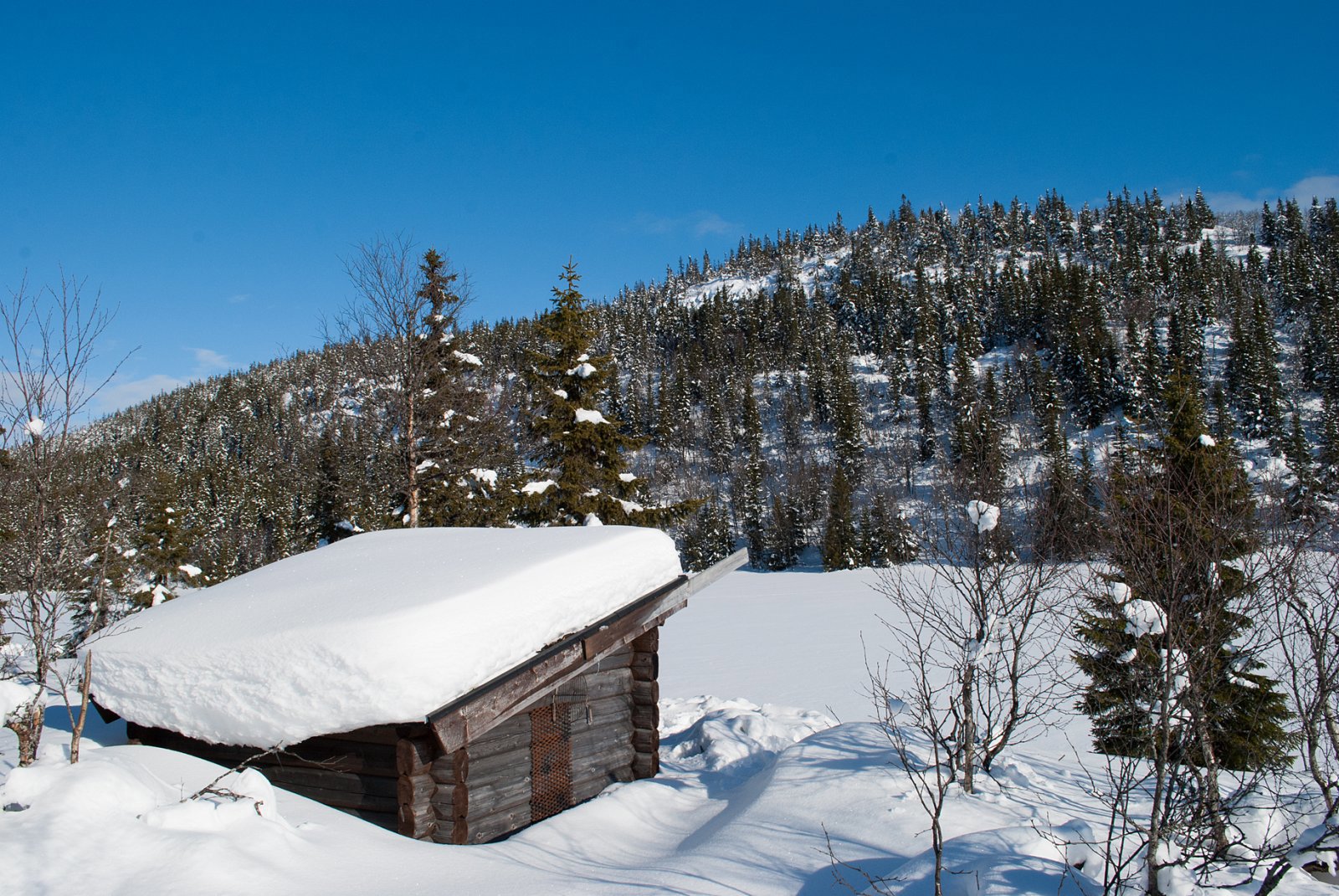 Gapahuken ved Bjønnåstjennet