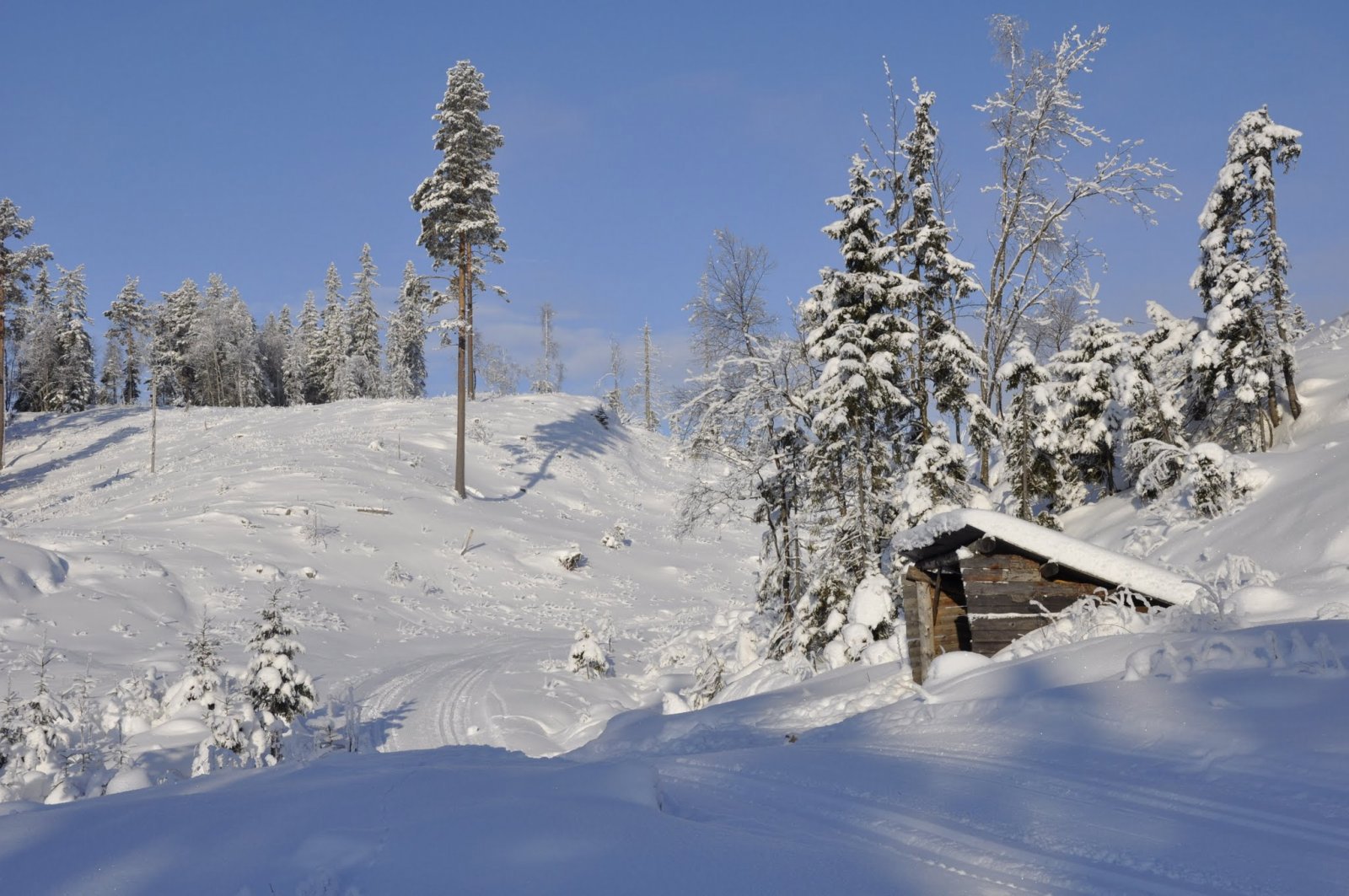Gapahuken ved Grønnsjøen