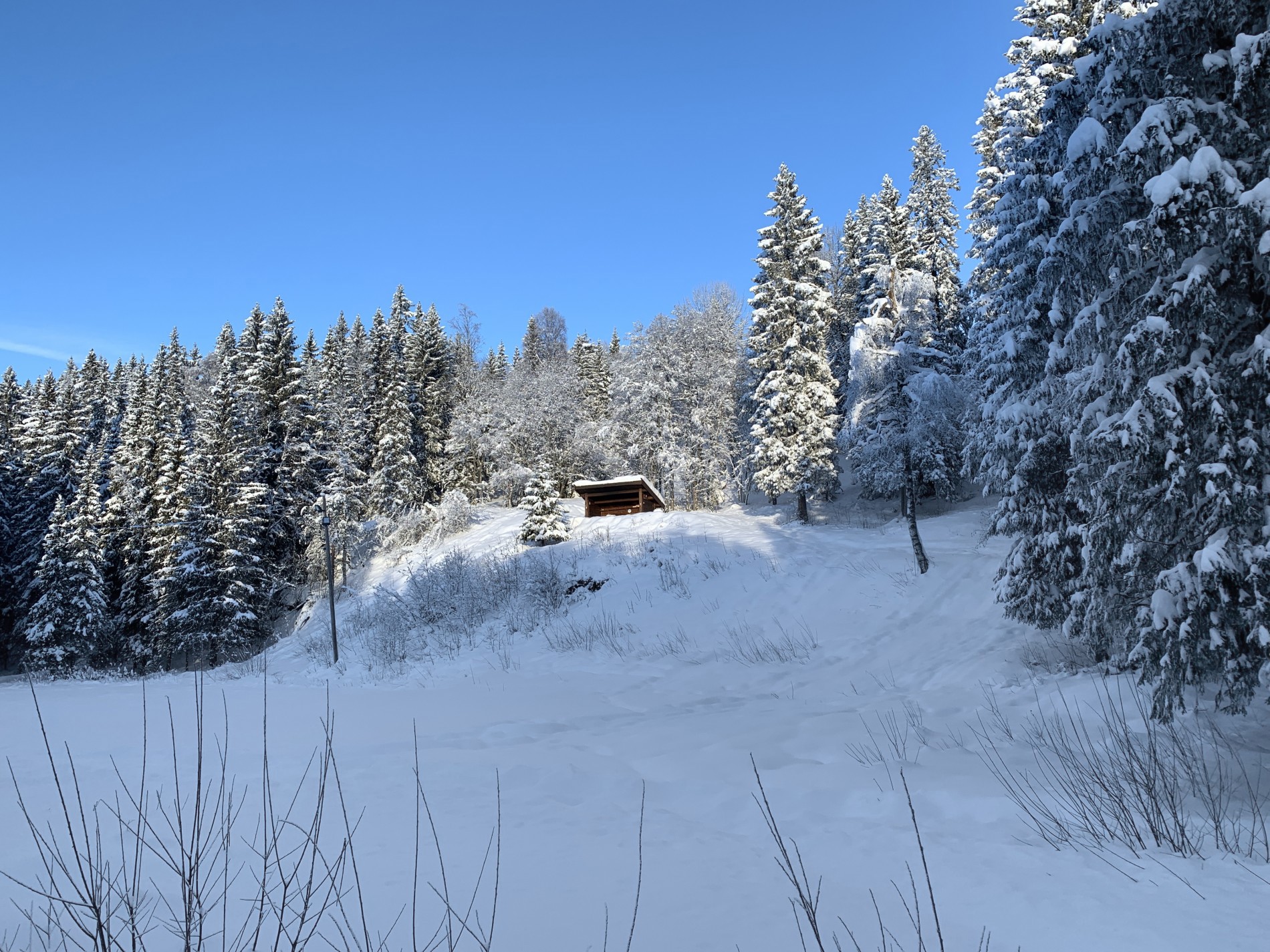 Gapahuken ved skileiken på Kleivstua