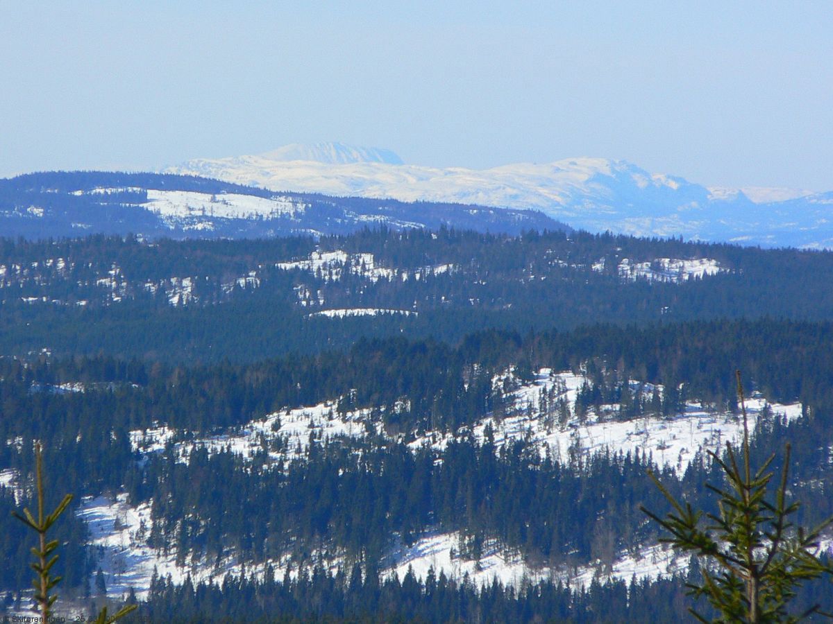 Gaustatoppen sett fra Vidvangshøgda