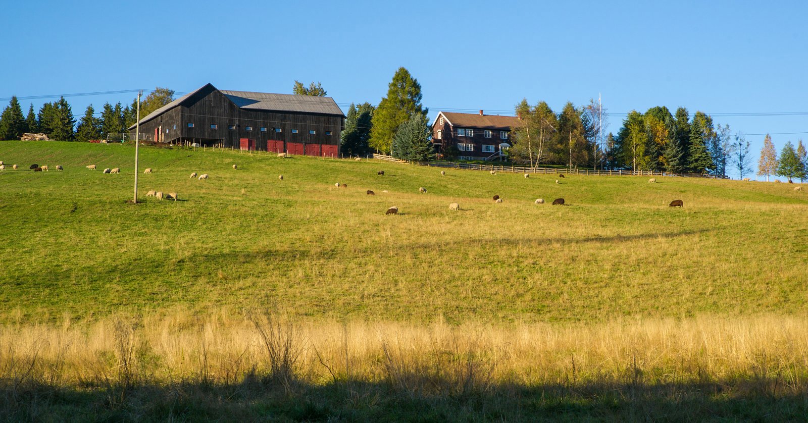 Gildrehaugen i septembersol