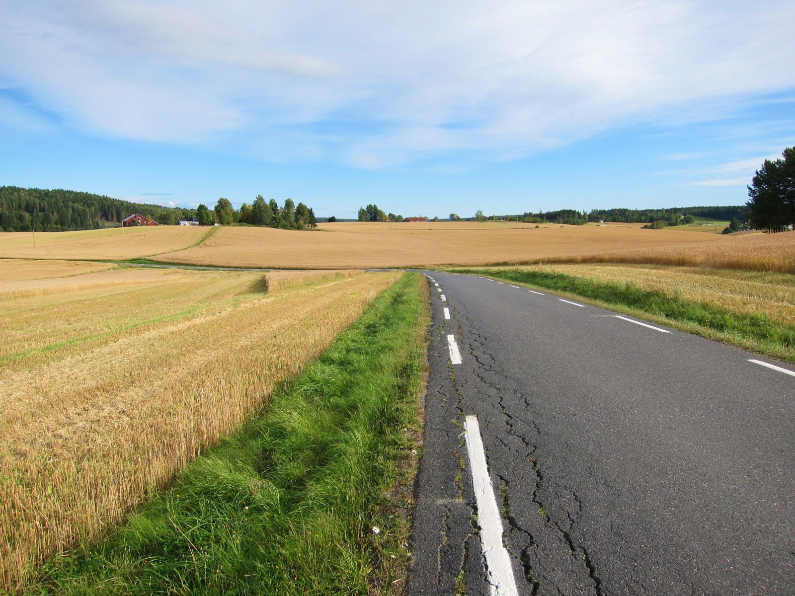 Gjennom åkerlandskapet