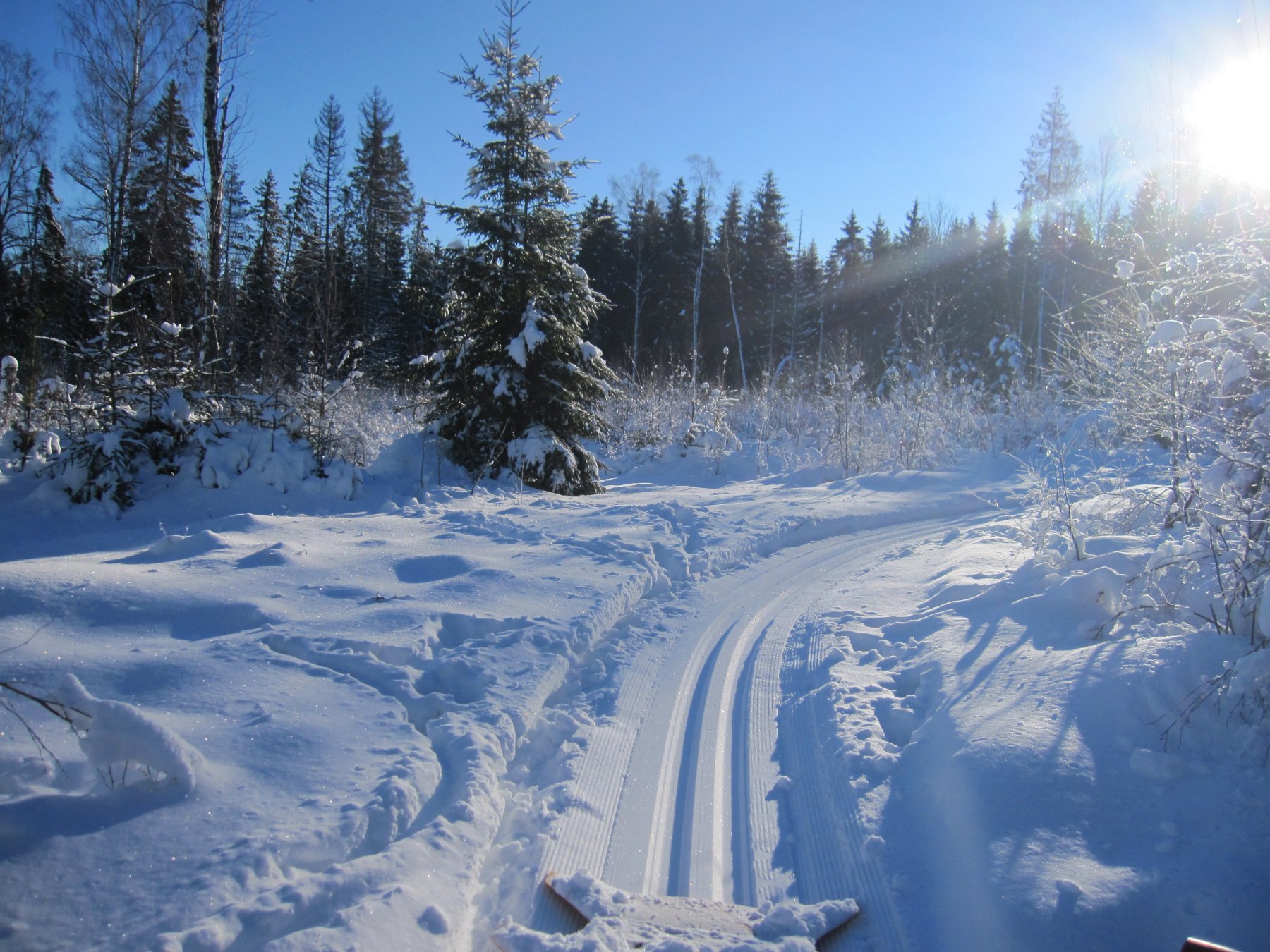 Gjennom Eventyrskogen
