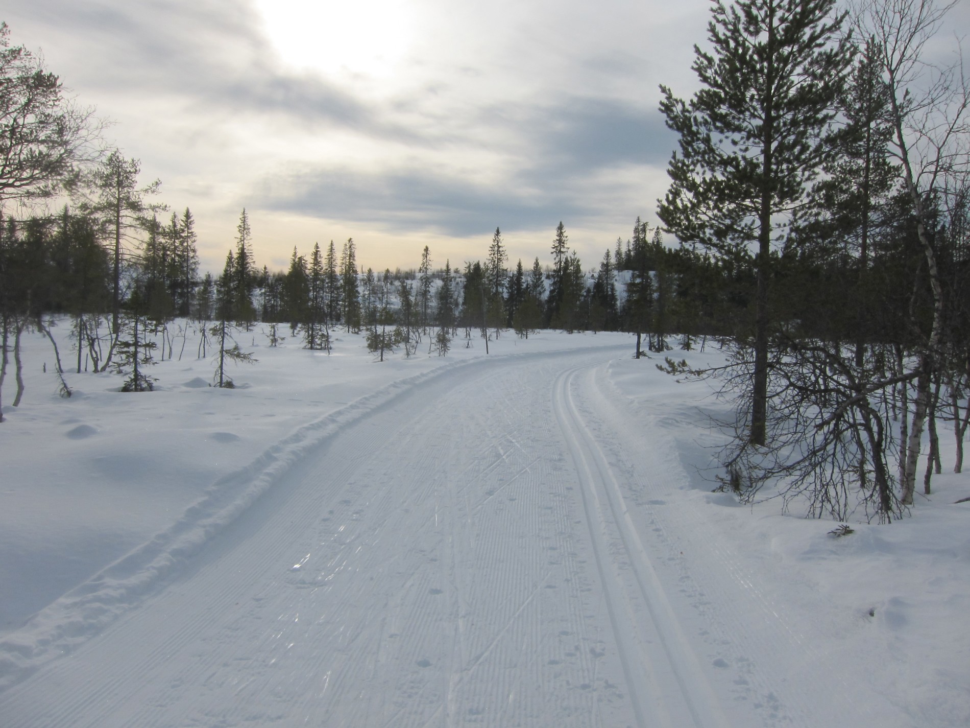 Gjennom hovedløypa på Glæstadhøgda