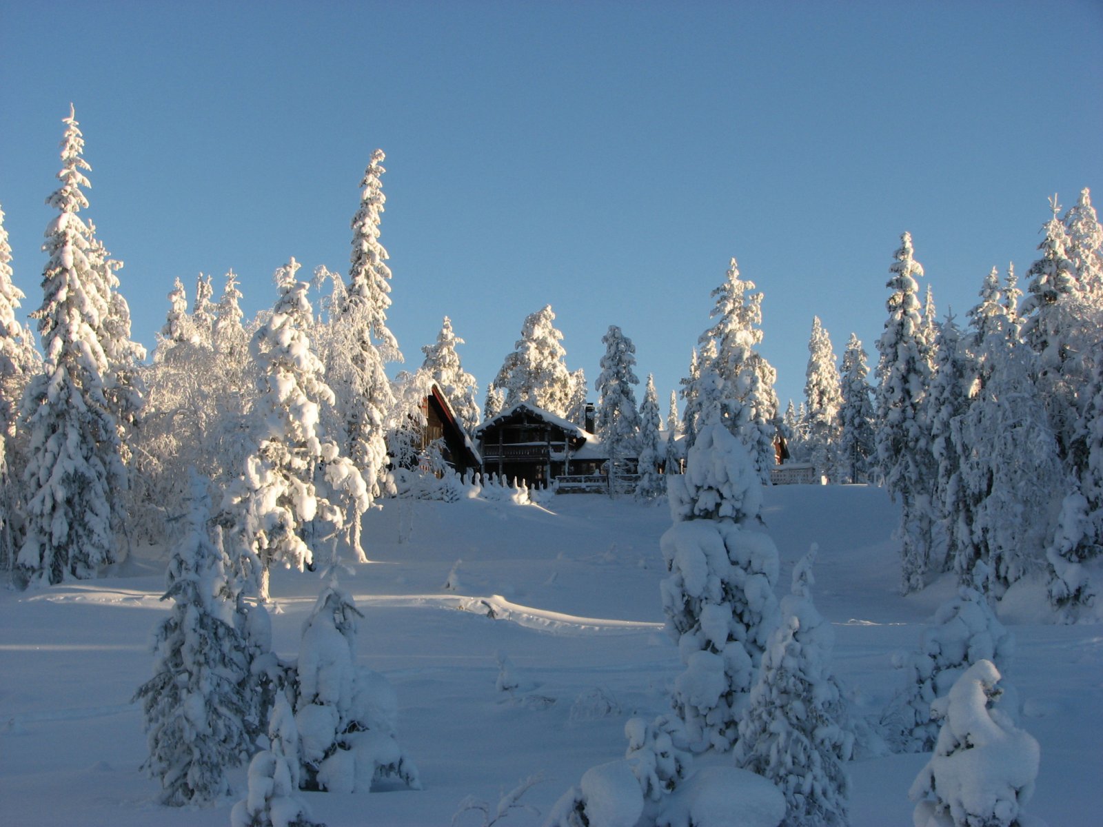 Gjennom Lygna hyttegrend