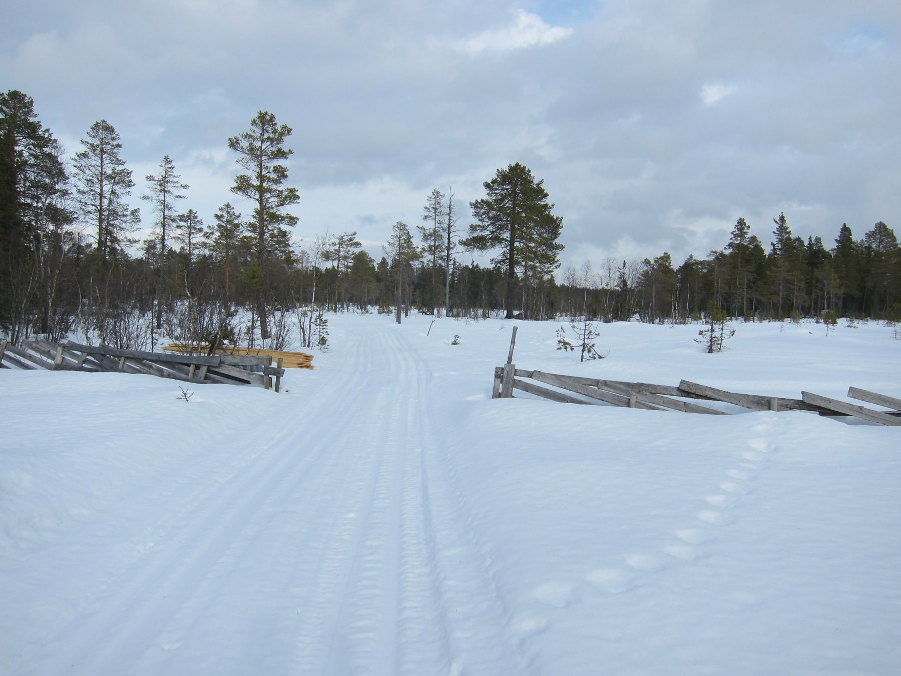 Gjennom myrlandskapet