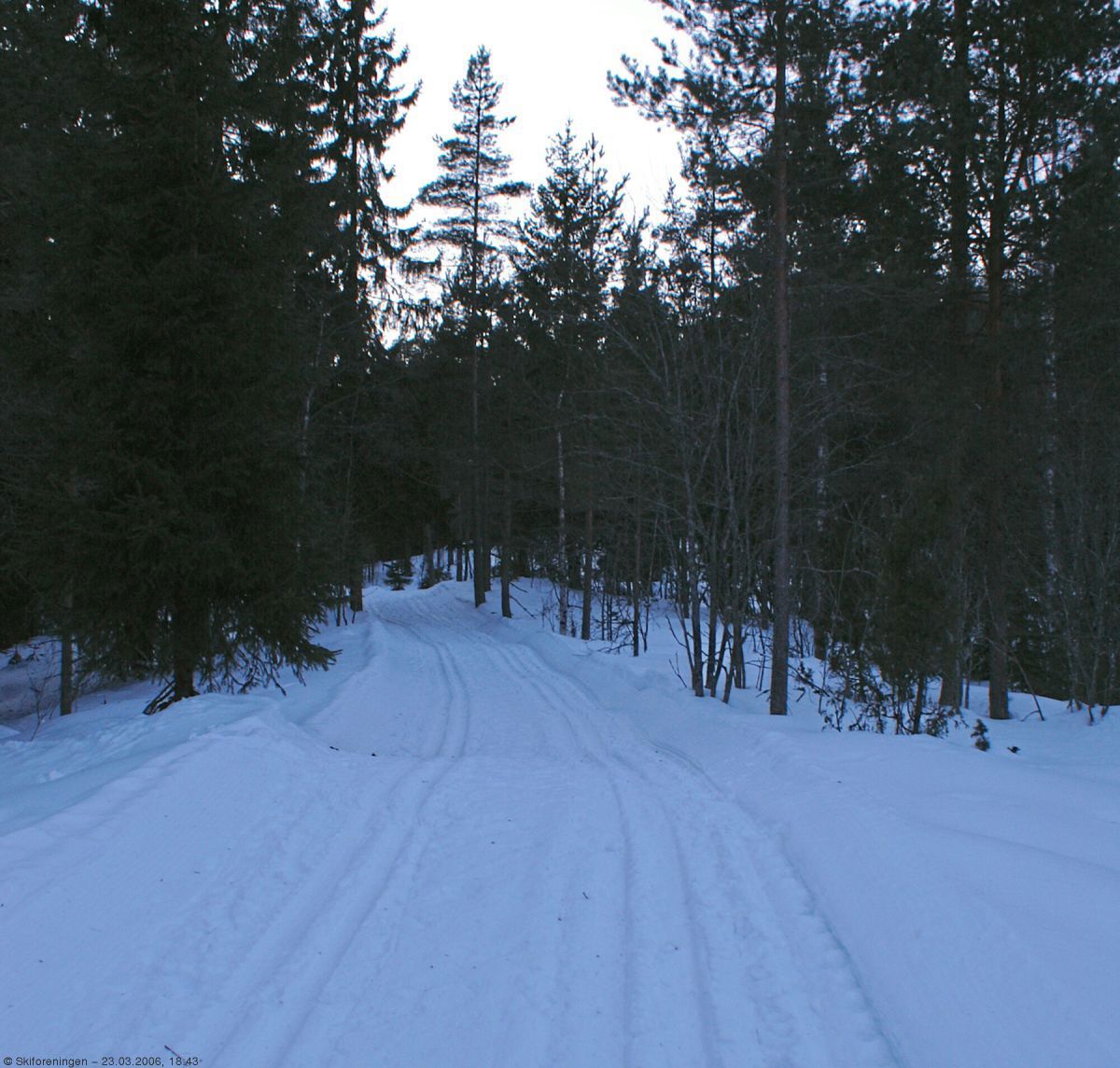 Gjennom skogen fra Lahaugmoen