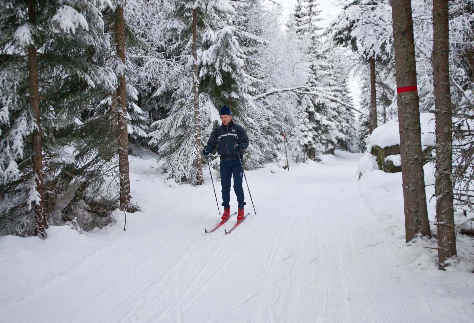 Gjennom skogen ved Kampevaddammen