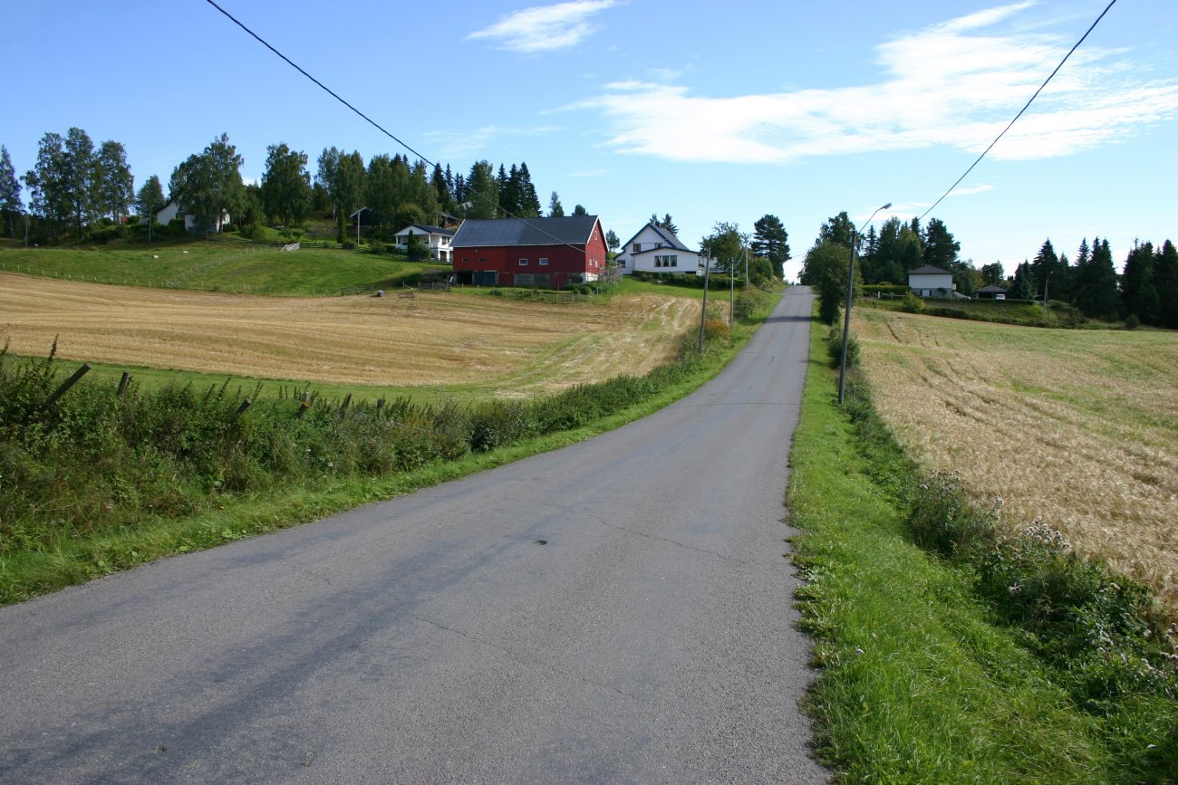 Gjennom Søndre Ålsbygda