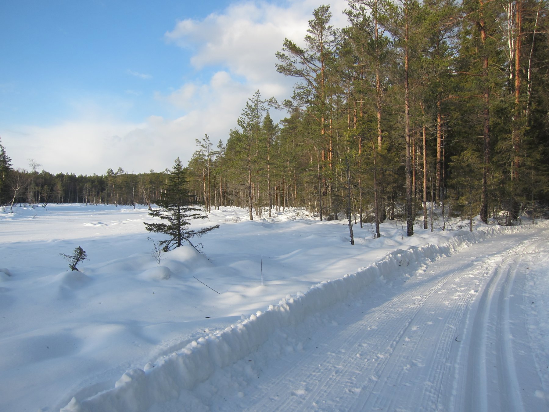 Gjennom Styrimarka til Setertjenn