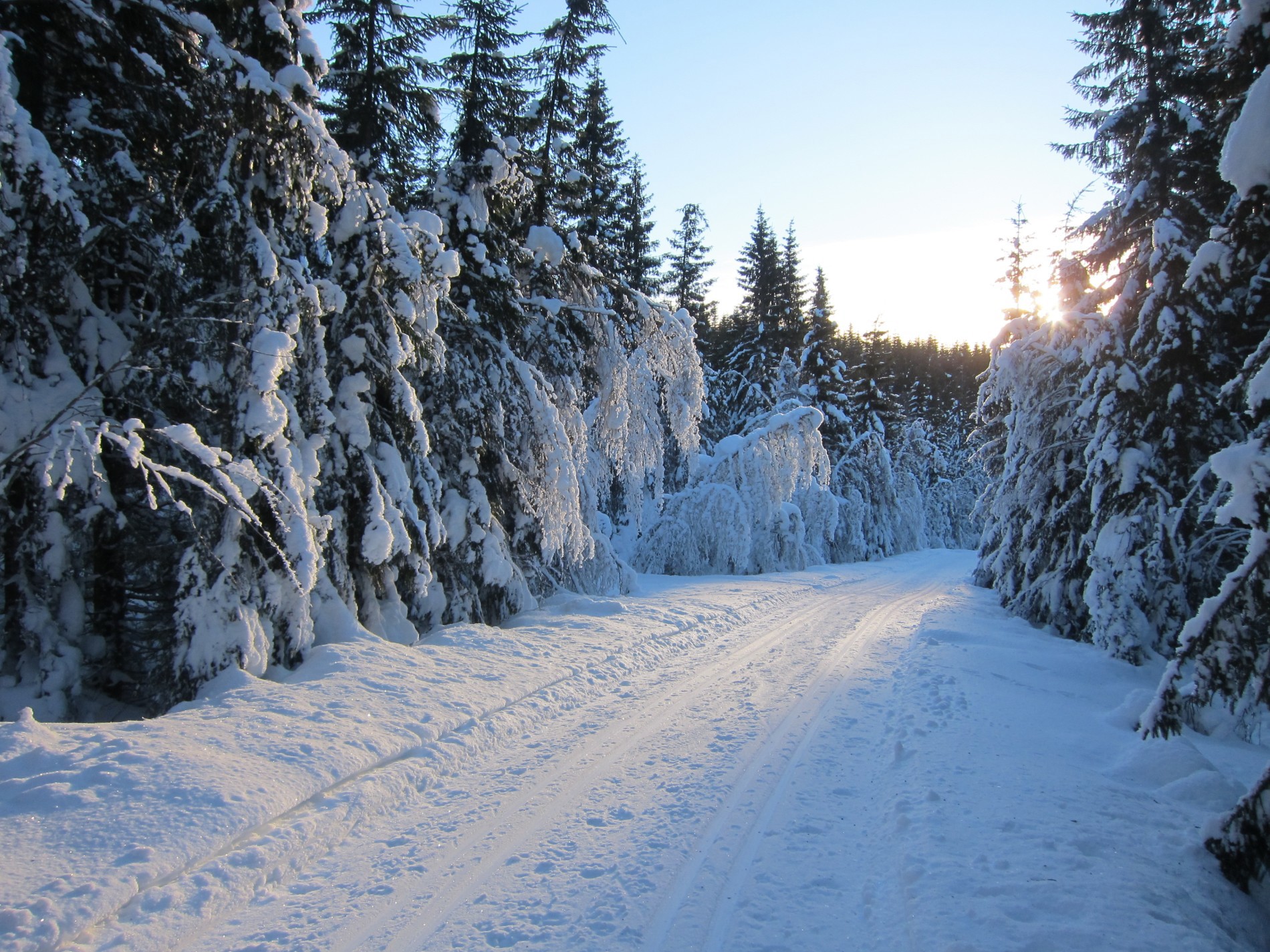 Gjennom vinterlandskap på Skardbrennvegen